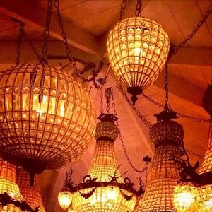 Meet your Posher, Sidney